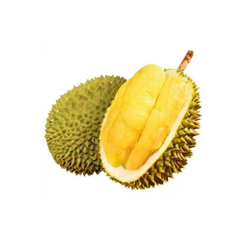 Fresh Malaysian Cat Mountain King Durian 1-1.5kg